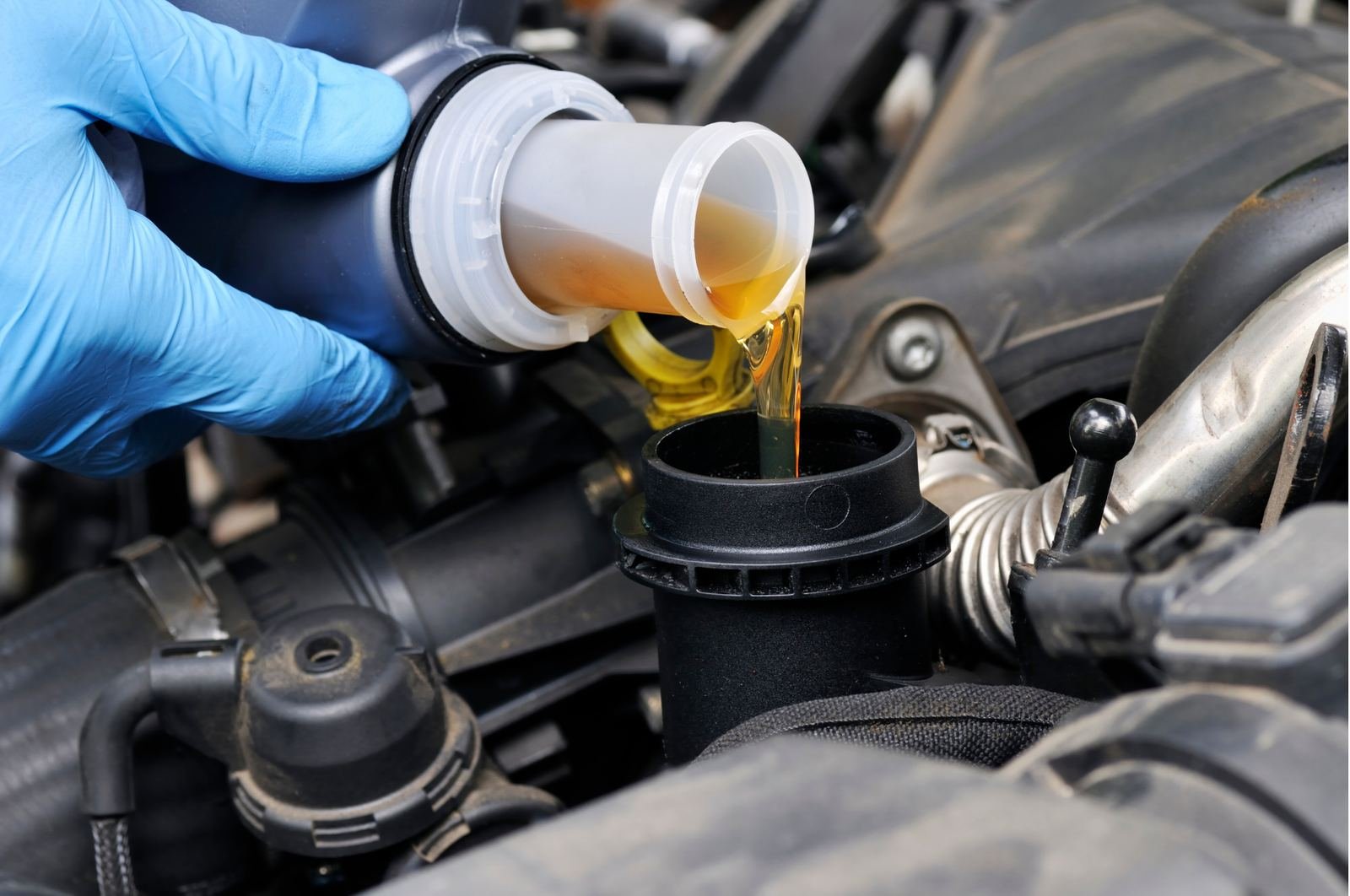 Fresh oil being poured into an engine